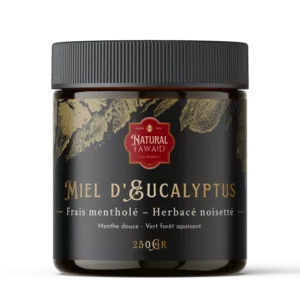 Pot de miel d’eucalyptus marocain, texture ambrée et saveur mentholée