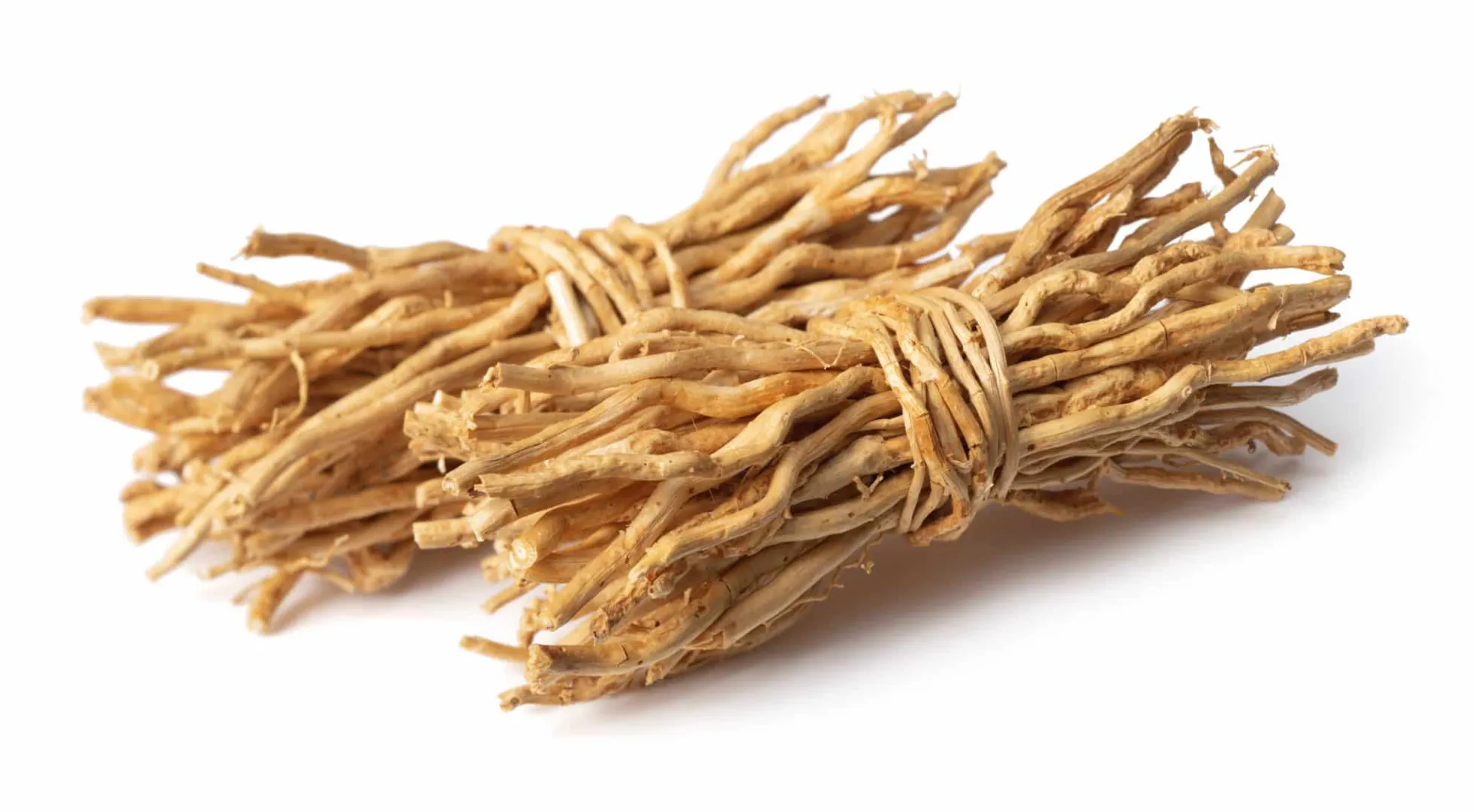 Deux bottes de racines de vétiver séchées, liées ensemble, prêtes à être utilisées pour des infusions, fumigations ou cosmétiques naturels.