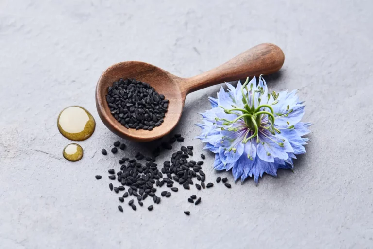 Graines de nigelle Nigella sativa dans une cuillère en bois avec fleur bleue et gouttes d’huile