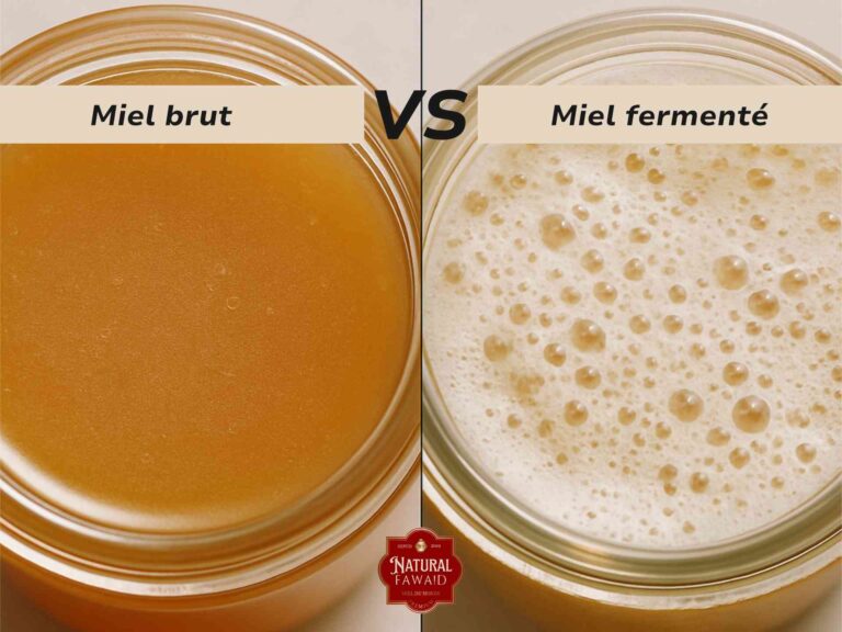 Comparaison vue du dessus entre un miel brut à surface lisse et stable et un miel présentant une mousse de fermentation active.