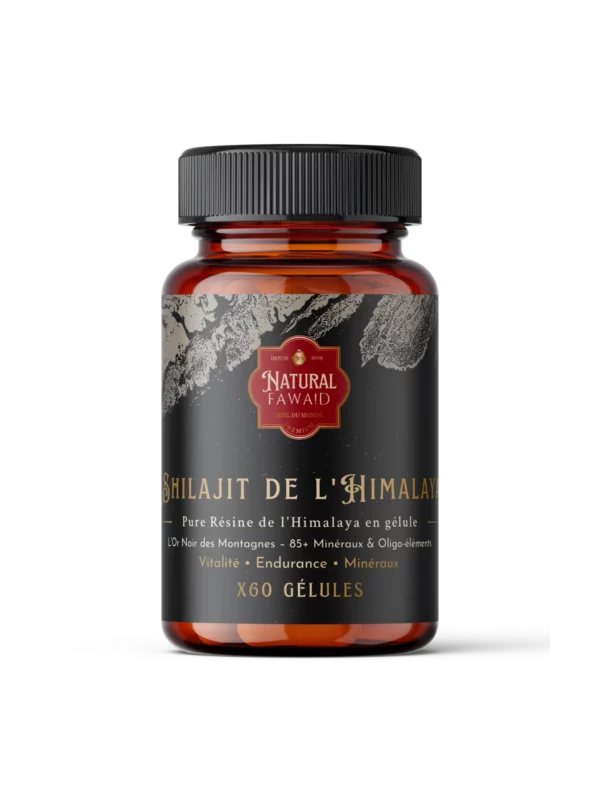 shilajit-himalaya-60-gelules Shilajit de l’Himalaya en gélules – flacon 60 capsules Natural Fawaid