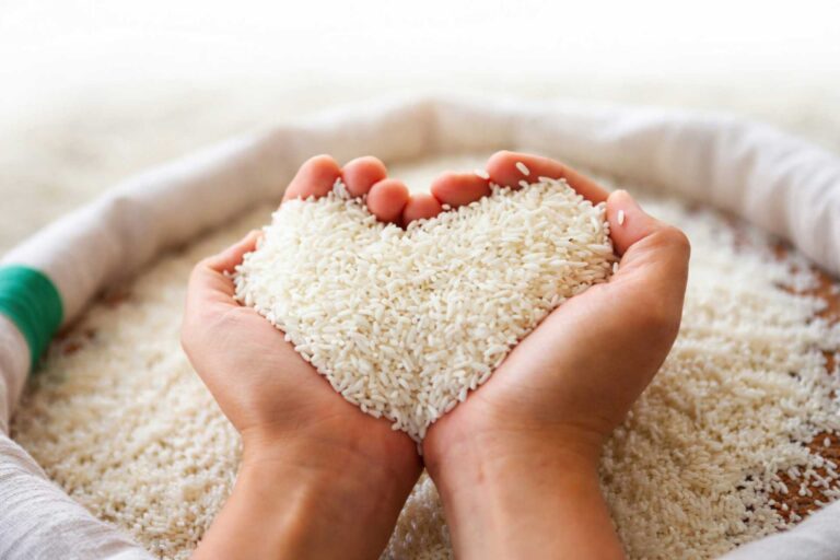 Mains tenant du riz blanc en forme de cœur symbolisant la Zakat al-Fitr