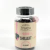 gummies-shilajit-ziyada-x60 Flacon de 60 gummies au shilajit Ziyada sur fond ivoire